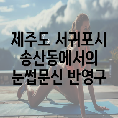 제주도 서귀포시 송산동에서의 눈썹문신 반영구