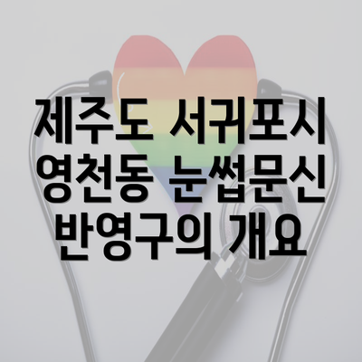 제주도 서귀포시 영천동 눈썹문신 반영구의 개요