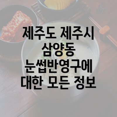 제주도 제주시 삼양동 눈썹반영구에 대한 모든 정보