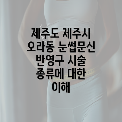 제주도 제주시 오라동 눈썹문신 반영구 시술 종류에 대한 이해