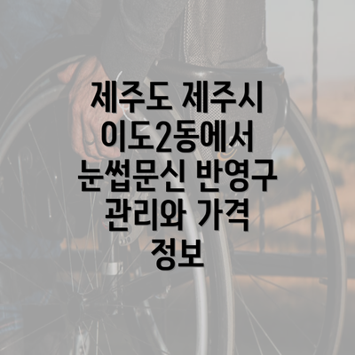 제주도 제주시 이도2동에서 눈썹문신 반영구 관리와 가격 정보