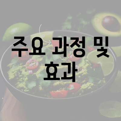 주요 과정 및 효과