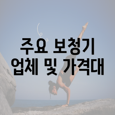 주요 보청기 업체 및 가격대