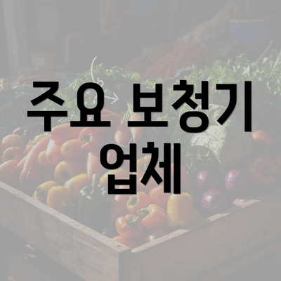 주요 보청기 업체