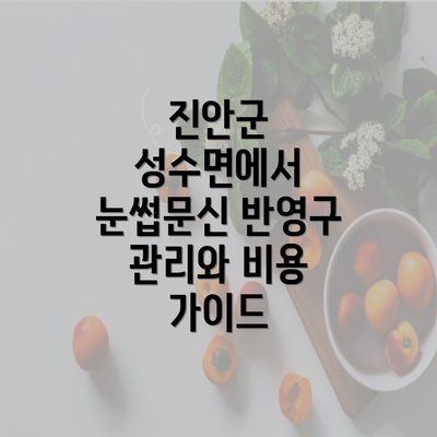 진안군 성수면에서 눈썹문신 반영구 관리와 비용 가이드