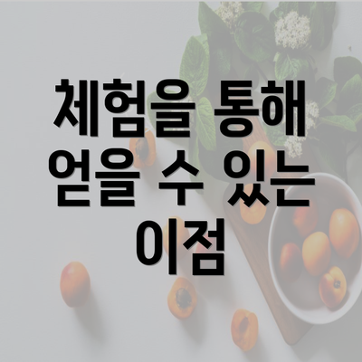 체험을 통해 얻을 수 있는 이점