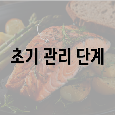 초기 관리 단계