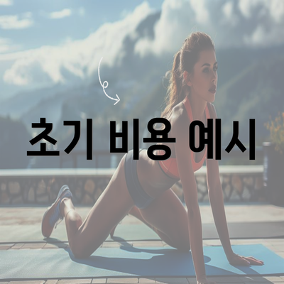 초기 비용 예시