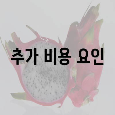 추가 비용 요인