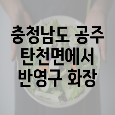 충청남도 공주 탄천면에서 반영구 화장