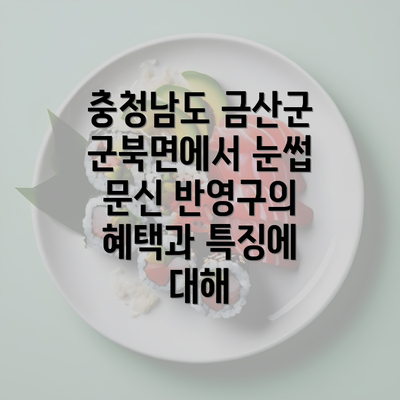 충청남도 금산군 군북면에서 눈썹 문신 반영구의 혜택과 특징에 대해