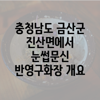 충청남도 금산군 진산면에서 눈썹문신 반영구화장 개요