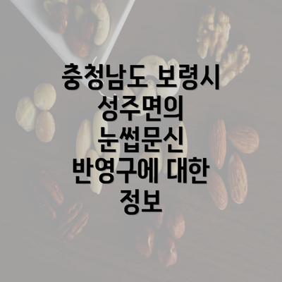 충청남도 보령시 성주면의 눈썹문신 반영구에 대한 정보