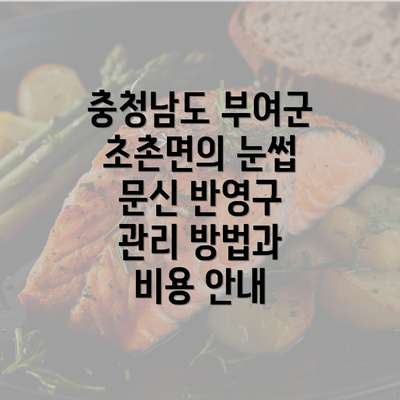 충청남도 부여군 초촌면의 눈썹 문신 반영구 관리 방법과 비용 안내