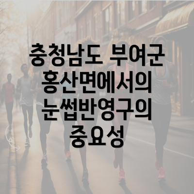 충청남도 부여군 홍산면에서의 눈썹반영구의 중요성