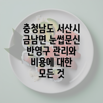 충청남도 서산시 금남면 눈썹문신 반영구 관리와 비용에 대한 모든 것