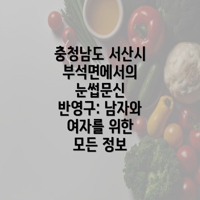 충청남도 서산시 부석면에서의 눈썹문신 반영구: 남자와 여자를 위한 모든 정보