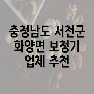 충청남도 서천군 화양면 보청기 가격 비교 및 구매 가이드