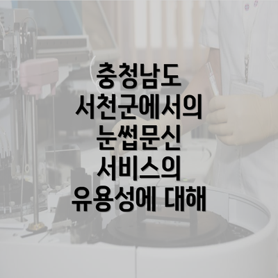 충청남도 서천군에서의 눈썹문신 서비스의 유용성에 대해