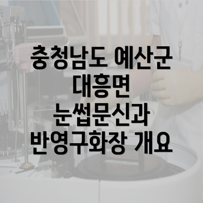 충청남도 예산군 대흥면 눈썹문신과 반영구화장 개요