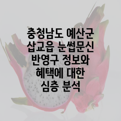 충청남도 예산군 삽교읍 눈썹문신 반영구 정보와 혜택에 대한 심층 분석