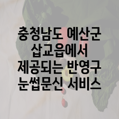 충청남도 예산군 삽교읍에서 제공되는 반영구 눈썹문신 서비스