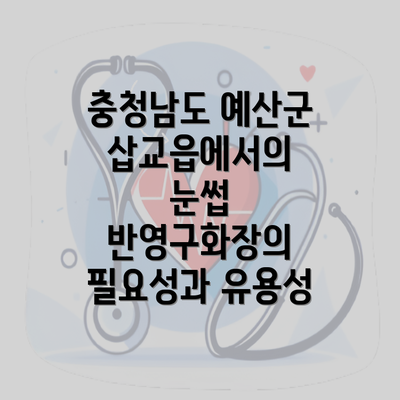 충청남도 예산군 삽교읍에서의 눈썹 반영구화장의 필요성과 유용성