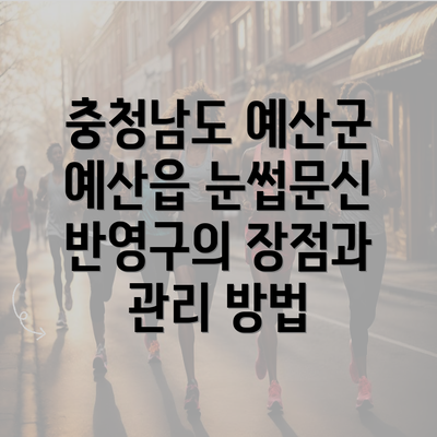 충청남도 예산군 예산읍 눈썹문신 반영구의 장점과 관리 방법