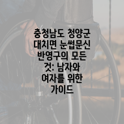 충청남도 청양군 대치면 눈썹문신 반영구의 모든 것: 남자와 여자를 위한 가이드