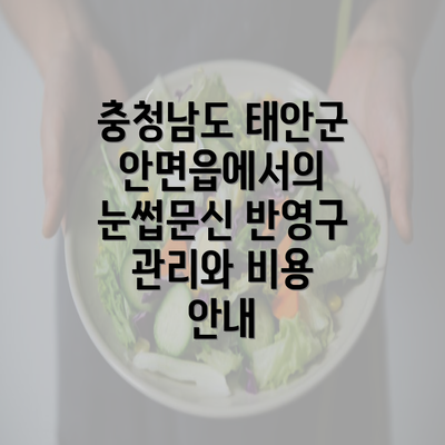 충청남도 태안군 안면읍에서의 눈썹문신 반영구 관리와 비용 안내