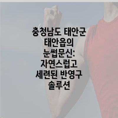 충청남도 태안군 태안읍의 눈썹문신: 자연스럽고 세련된 반영구 솔루션