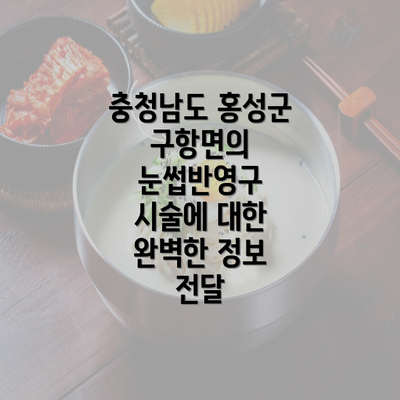 충청남도 홍성군 구항면의 눈썹반영구 시술에 대한 완벽한 정보 전달