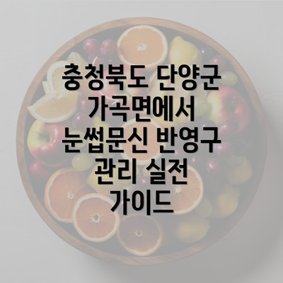 충청북도 단양군 가곡면에서 눈썹문신 반영구 관리 실전 가이드