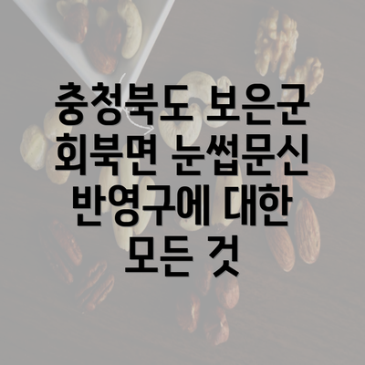 충청북도 보은군 회북면 눈썹문신 반영구에 대한 모든 것