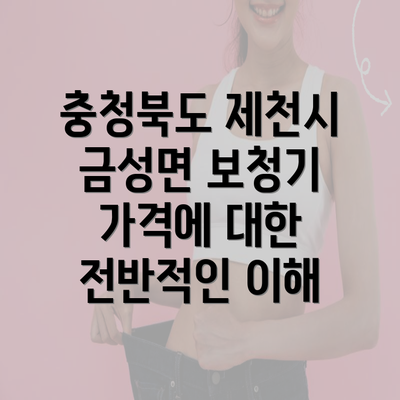 충청북도 제천시 금성면 보청기 가격에 대한 전반적인 이해