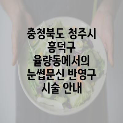 충청북도 청주시 흥덕구 율량동에서의 눈썹문신 반영구 시술 안내