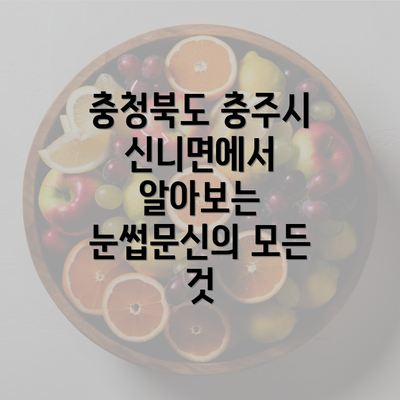 충청북도 충주시 신니면에서 알아보는 눈썹문신의 모든 것