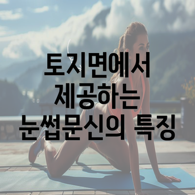 토지면에서 제공하는 눈썹문신의 특징