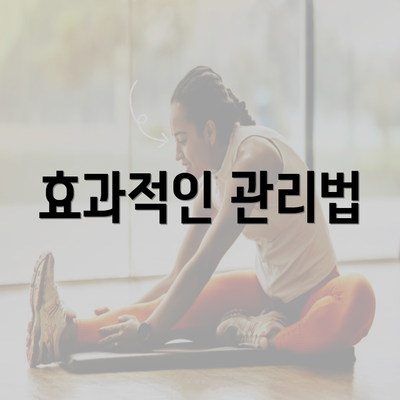 효과적인 관리법