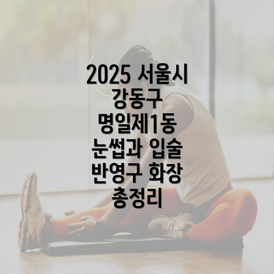 2025 서울시 강동구 명일제1동 눈썹과 입술 반영구 화장 총정리