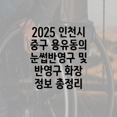 2025 인천시 중구 용유동의 눈썹반영구 및 반영구 화장 정보 총정리