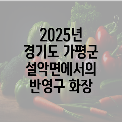 2025년 경기도 가평군 설악면에서의 반영구 화장