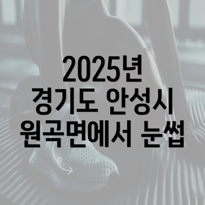 2025년 경기도 안성시 원곡면에서 눈썹