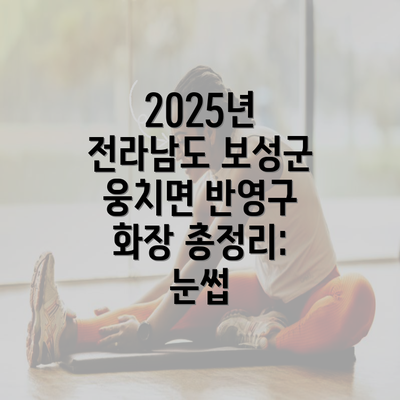 2025년 전라남도 보성군 웅치면 반영구 화장 총정리: 눈썹