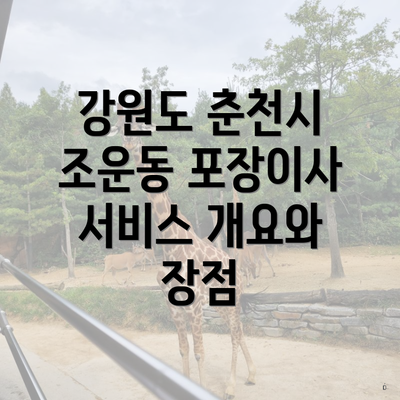 강원도 춘천시 조운동 포장이사 서비스 개요와 장점