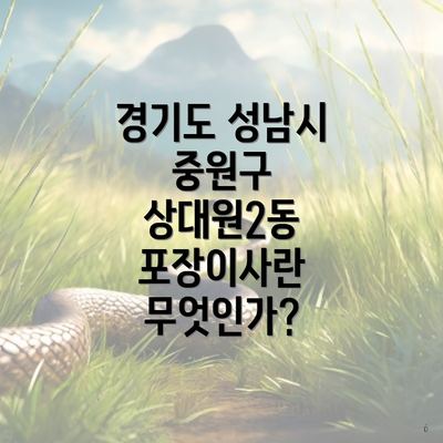 경기도 성남시 중원구 상대원2동 포장이사란 무엇인가?