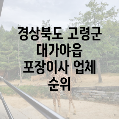 경상북도 고령군 대가야읍 포장이사 업체 순위