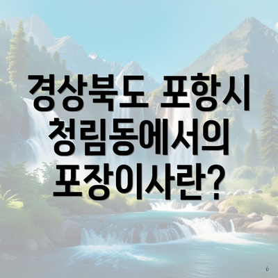 경상북도 포항시 청림동에서의 포장이사란?