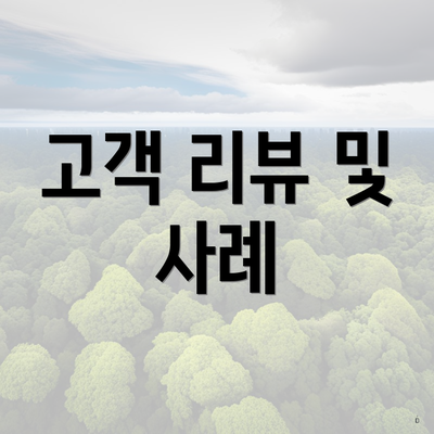 고객 리뷰 및 사례