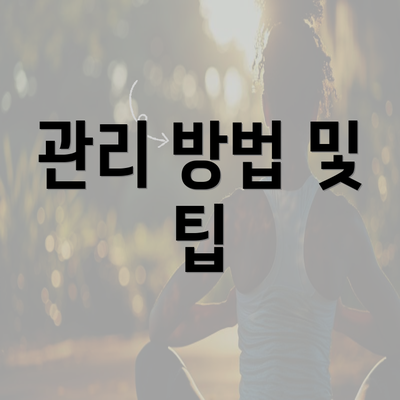 관리 방법 및 팁